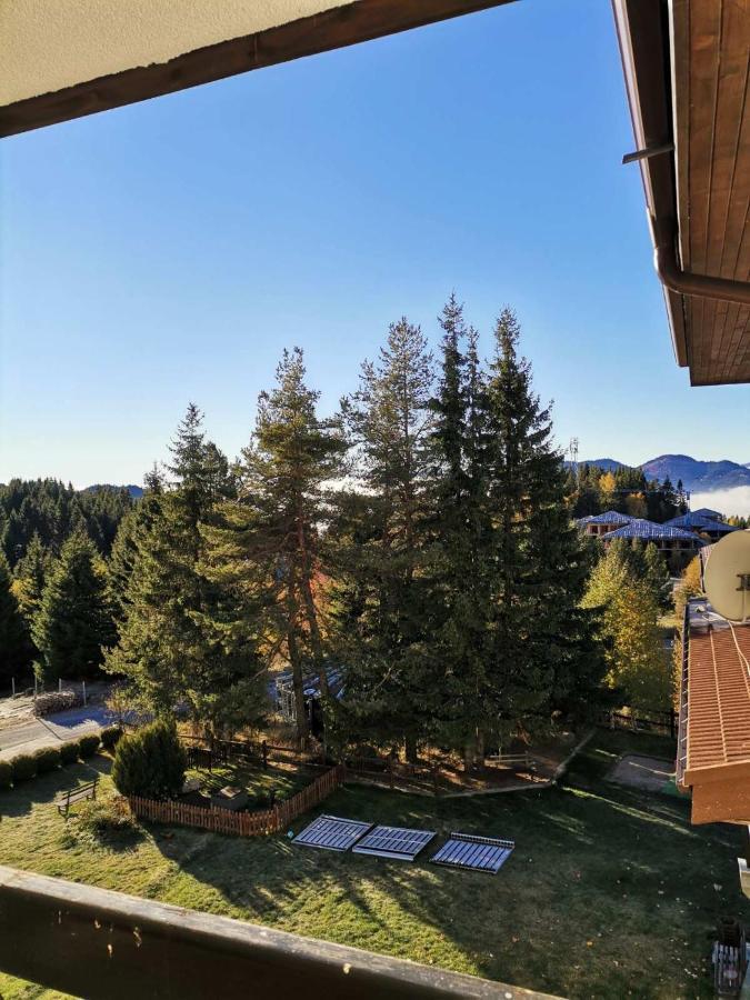 Forest Home 524 Smolyan Buitenkant foto