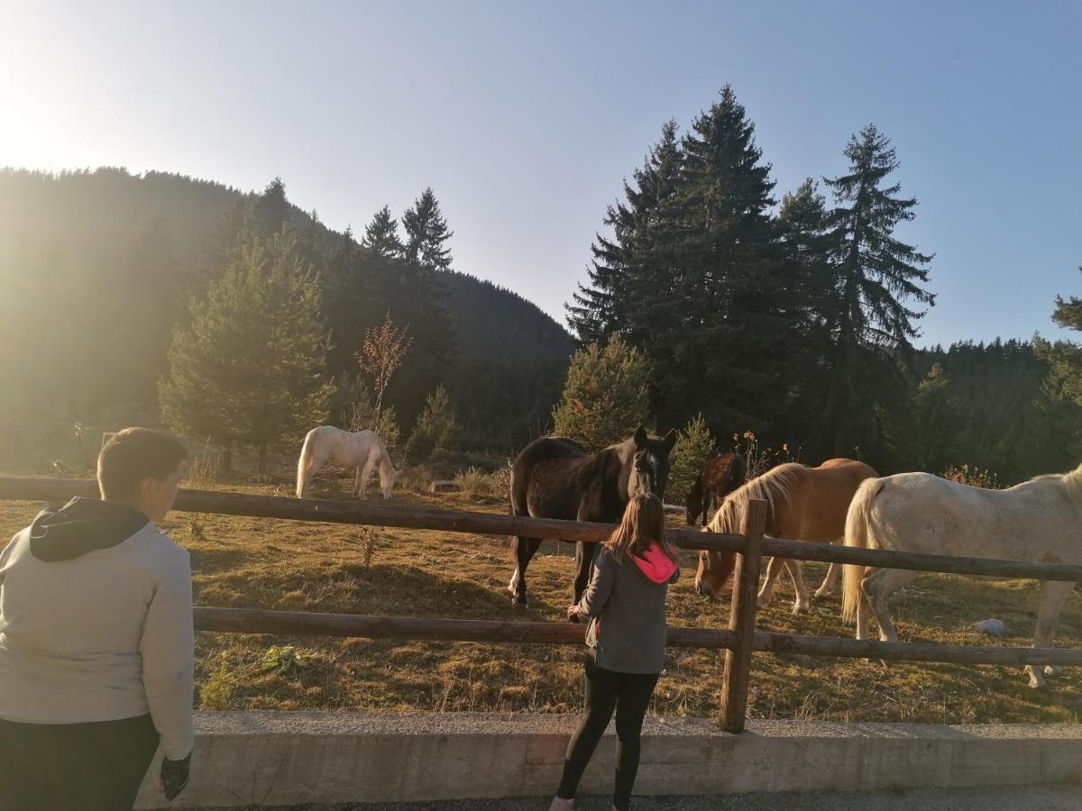 Forest Home 524 Smolyan Buitenkant foto