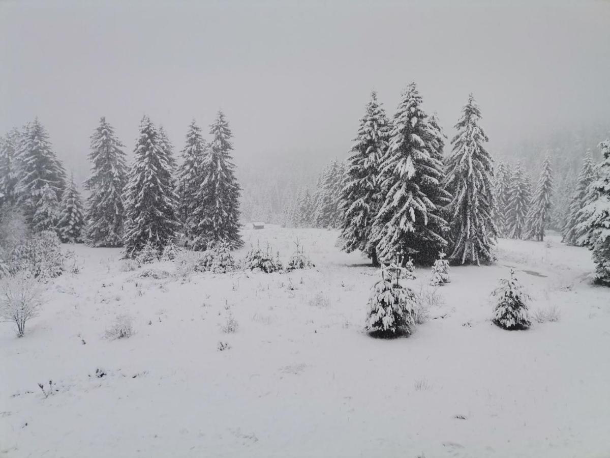 Forest Home 524 Smolyan Buitenkant foto